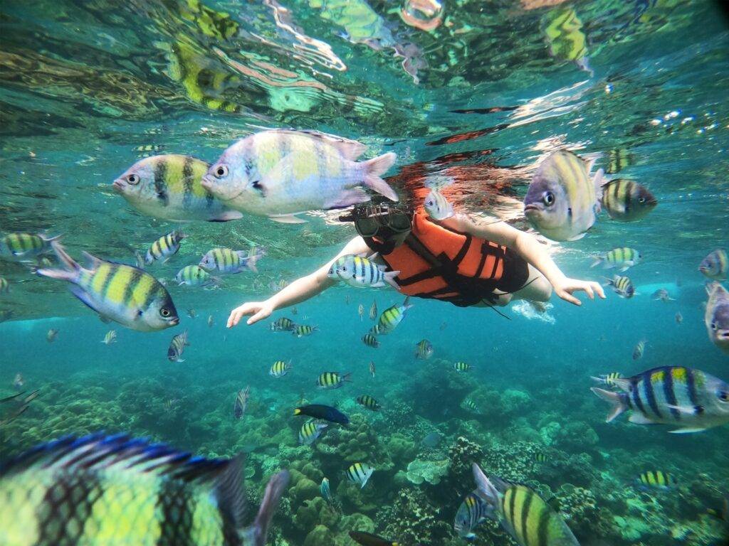 Pic - One Day Trip - Phi Phi Cruiser - Best Phuket Travel (5)