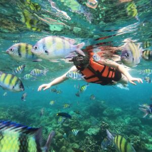Pic - One Day Trip - Phi Phi Cruiser - Best Phuket Travel (5)