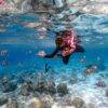 Pic - Seastar - Racha Noi - Racha Yai - Maiton - One Day Trip - Best Phuket Travel (4)