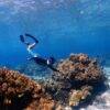 Pic - Seastar - Racha Noi - Racha Yai - Maiton - One Day Trip - Best Phuket Travel (5)