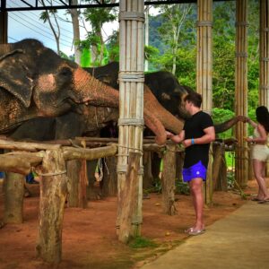 Pic - Elephant Jungle Santaury Phuket - Best Phuket Travel (14)