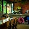 Pic - Elephant Jungle Santaury Phuket - Best Phuket Travel (15)