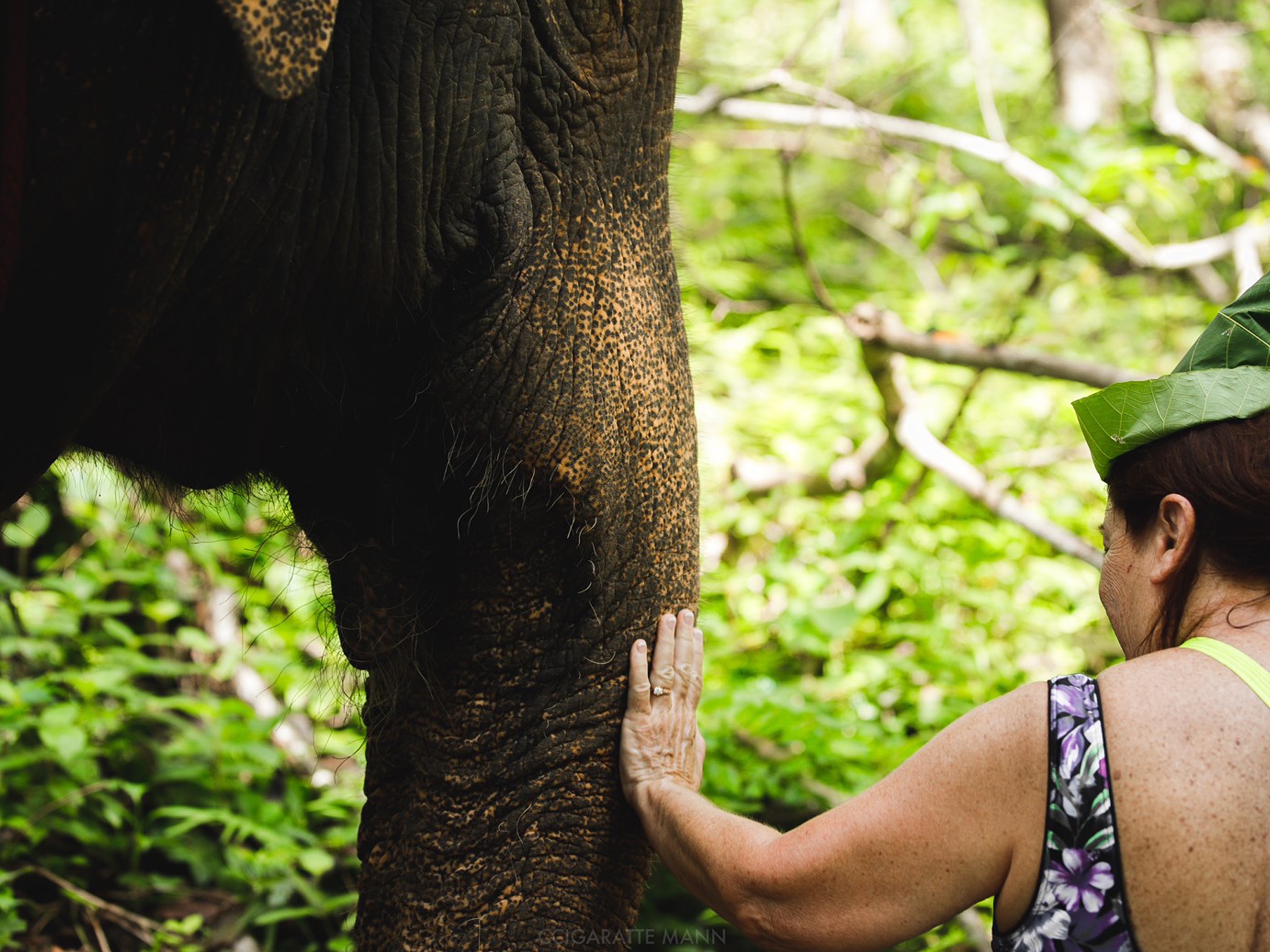 Pic - Elephant Jungle Santaury Phuket - Best Phuket Travel (3)