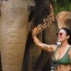 Pic - Elephant Jungle Santaury Phuket - Best Phuket Travel (5)