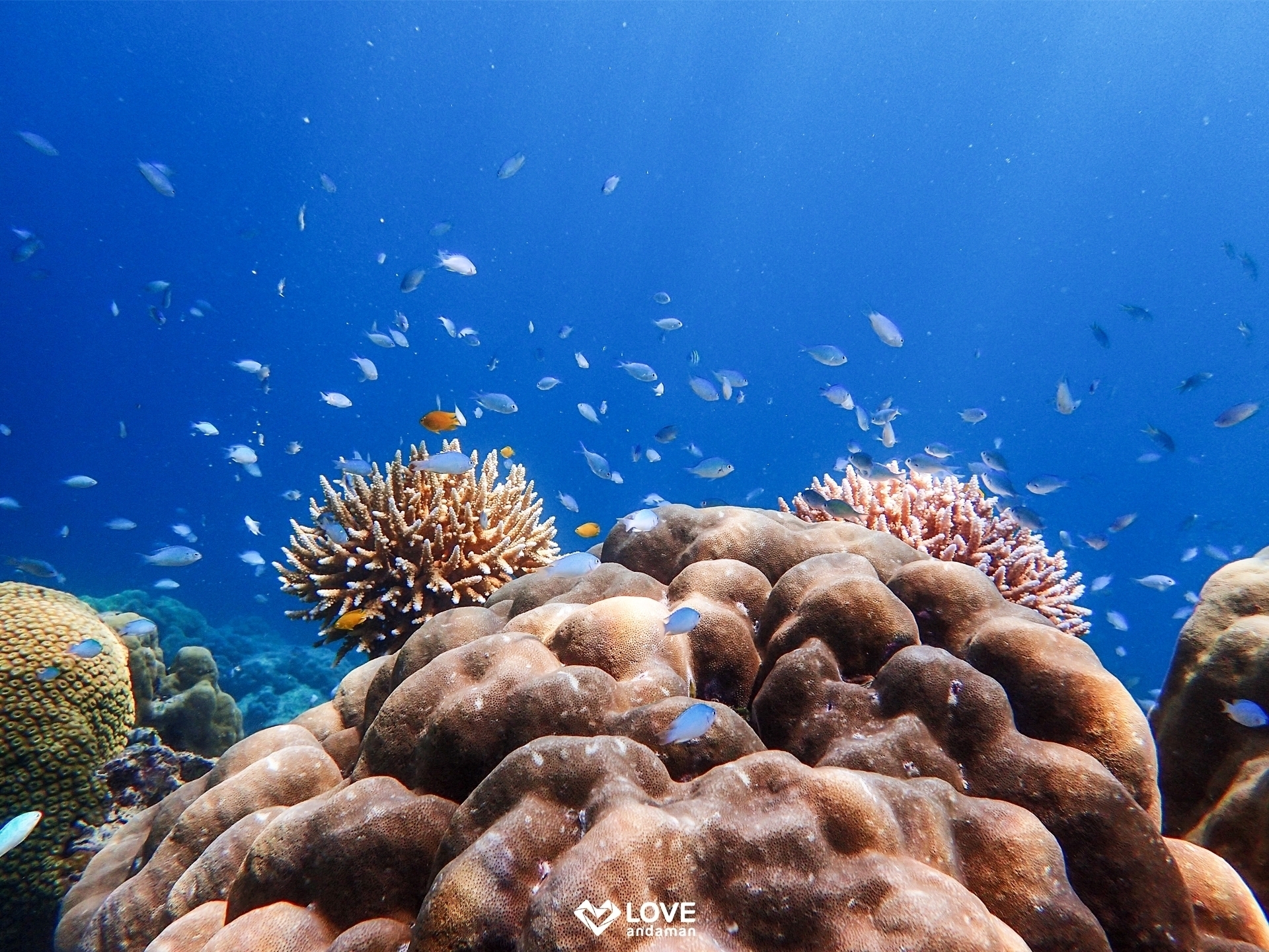 Pic - Love Andaman - Surin Islands (7) - Best Phuket Travel