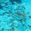 Pic - Nikorn Marine - Racha Island - Best Phuket Travel (1)