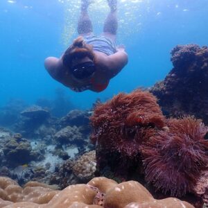 Pic - Sea Star - Lazy Phi Phi - Best Phuket Travel (4)