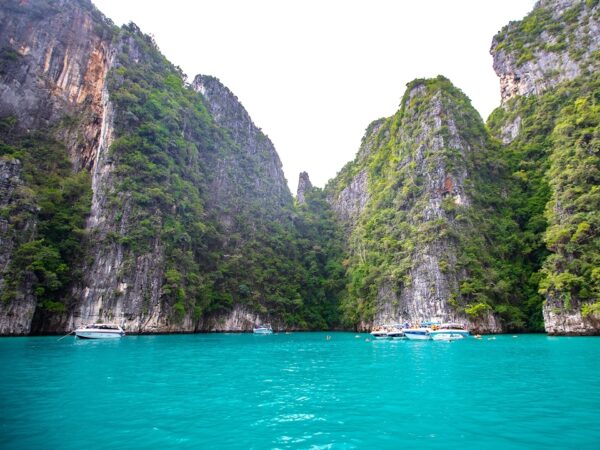 Pic - Sea Star - Lazy Phi Phi - Best Phuket Travel (5)