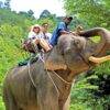 Pic - See Sea Sky - Bamboo A (4) - Best Phuket Travel