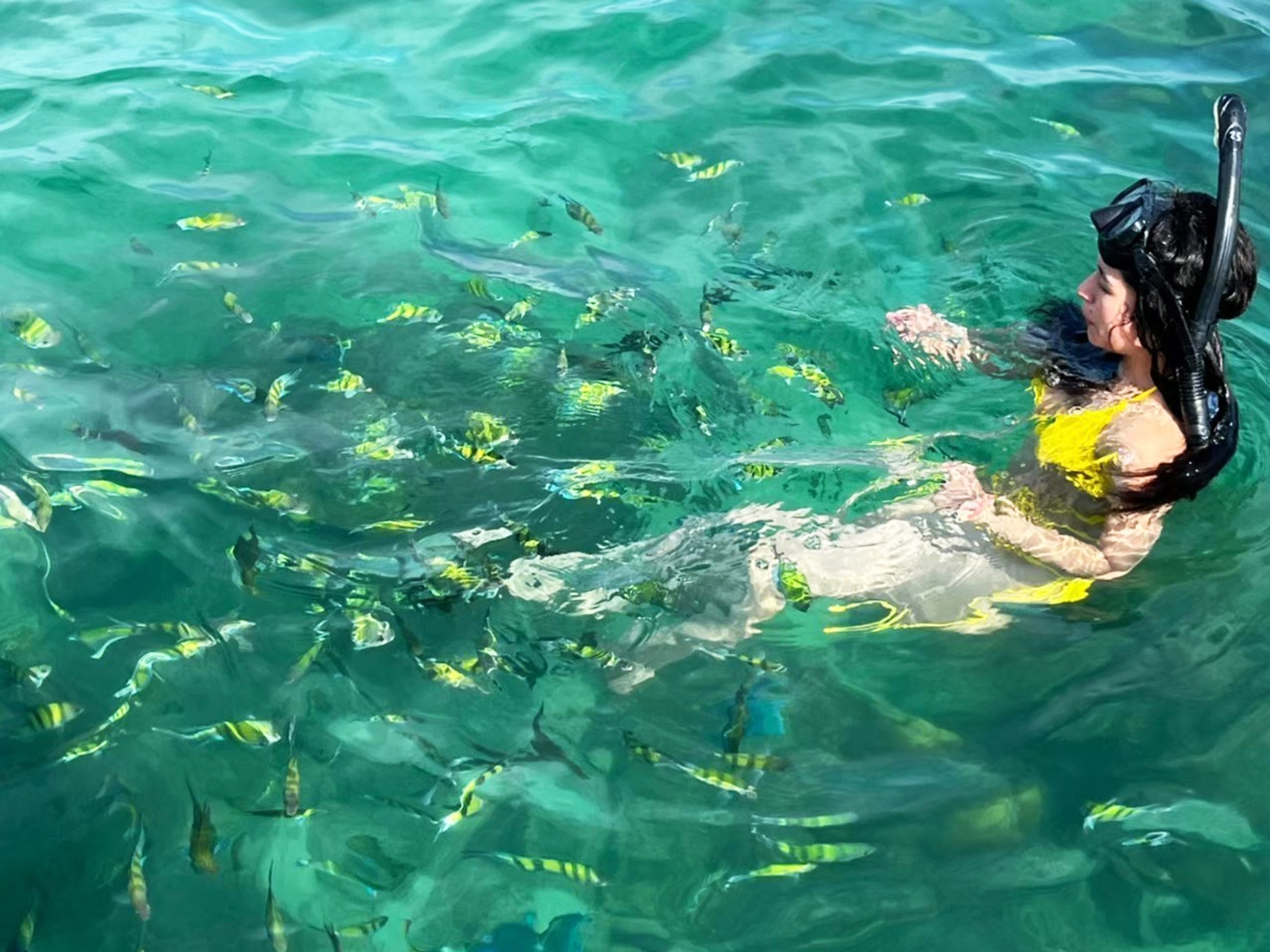 Pic - See Sea Sky - Phi Phi & Khai (1) - Best Phuket Travel