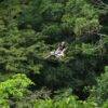 Pic - Flying Hanuman - Best Phuket Travel (6)
