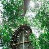 Pic - Hanuman World - Best Phuket Travel (13)