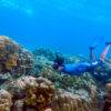Pic - Rok island - Seastar - Best Phuket Travel (3)