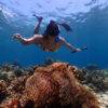 Pic - Rok island - Seastar - Best Phuket Travel (4)