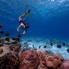 Pic - Similan - Seastar - Best Phuket Travel (5)