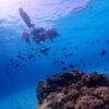 Pic - Similan - Seastar - Best Phuket Travel (6)