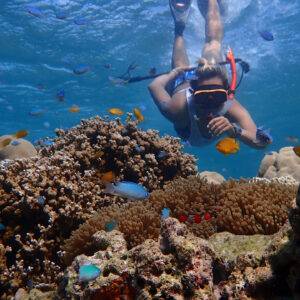 Pic - Surin 2D 1N - Seastar - Best Phuket Travel (4)