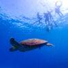 Pic - Surin 3D 2N - Seastar - Best Phuket Travel (4)