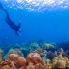 Pic - Surin Day Trip - Seastar - Best Phuket Travel (6)