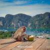 Pic - Phi Phi - Siam Adventure World - Best Phuket Travel 8