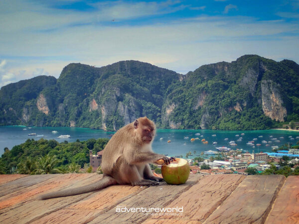 Pic - Phi Phi - Siam Adventure World - Best Phuket Travel 8