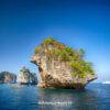 Pic - Rok & Haa - Siam Adventure World - Best Phuket Travel 3
