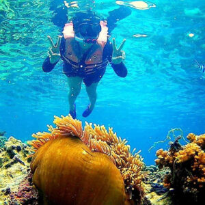 Pic - Koh Tao & Koh Nang Yuan - Ruangsri Travel (5)