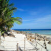 Pic - Koh Tao & Koh Nangyuan 2 - Lomprayah - Best Phuket Travel