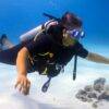Pic - All4Diving 10 - Best Phuket Travel
