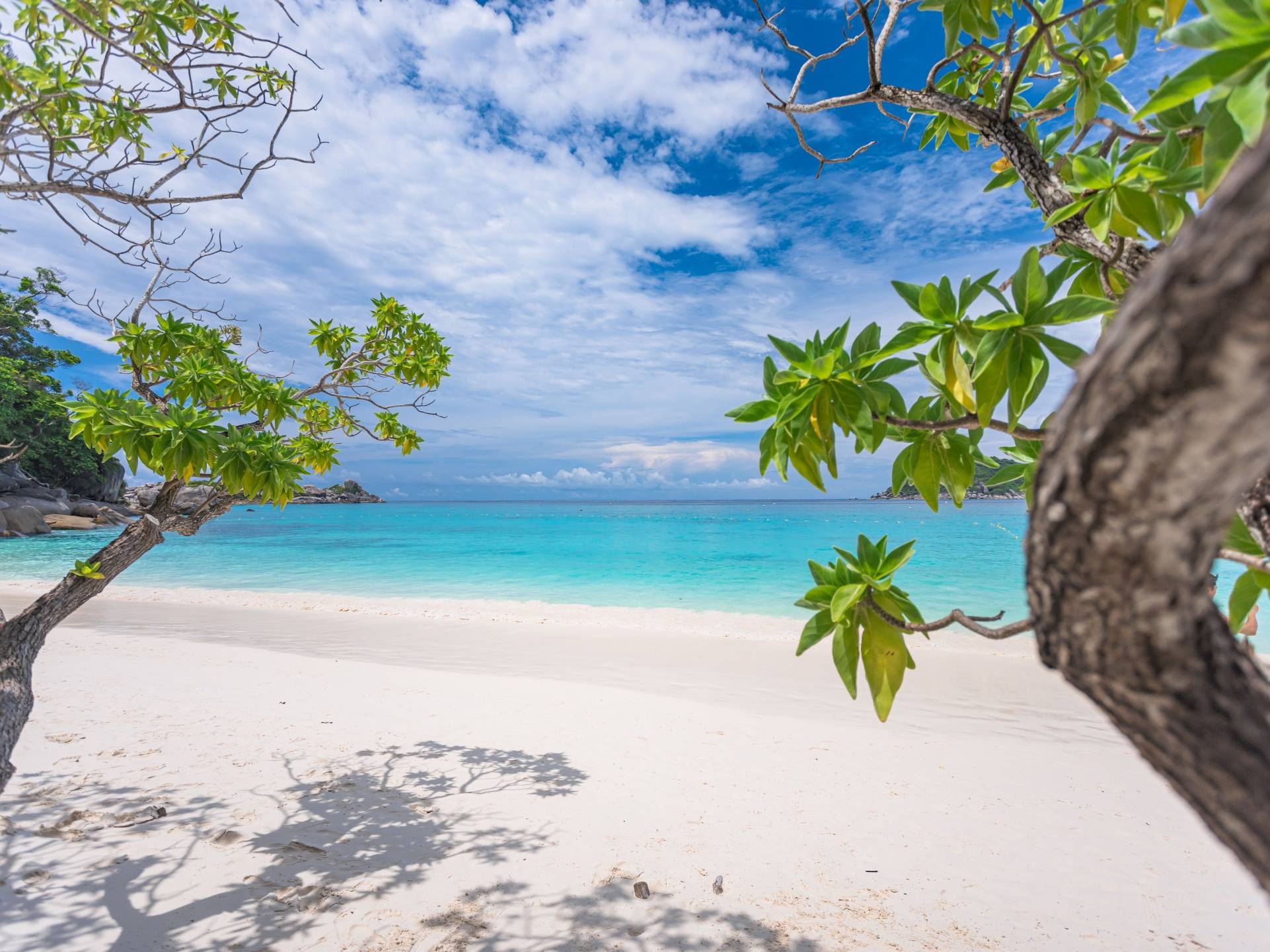 Pic - Similan Islands - Seastar - New (4) - Best Phuket Travel