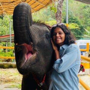 Pic - City Tour - Elephant 2 - Chummy - Best Phuket Travel