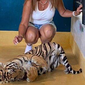 Pic - City Tour - Tiger 3 - Chummy - Best Phuket Travel