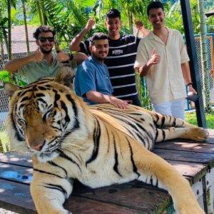 Pic - City Tour - Tiger 4 - Chummy - Best Phuket Travel