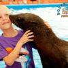 Dolphins Bay Phuket 6 - Best Phuket Travel