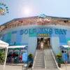 Dolphins Bay Phuket 7 - Best Phuket Travel