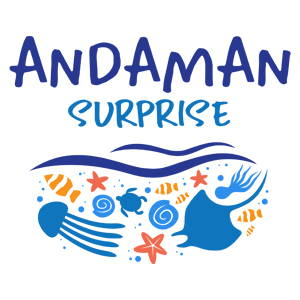 Andaman Surprise Logo