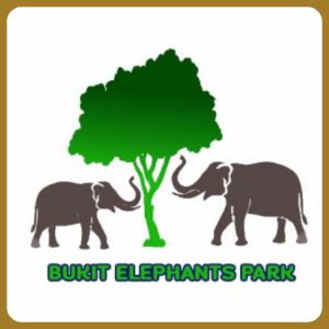 Bukit Elephant Park