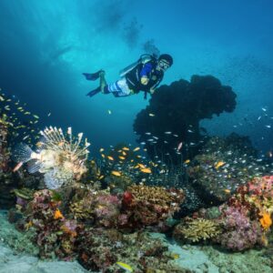 Similan 2 Days 1 Night Trip (1) - Seastar