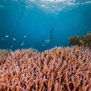 Surin Secret Day Trip (1) - Seastar