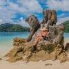 Surin islands Day Trip by Speed Catamaran (3) - Seastar